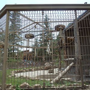 1942 Monkey Pavilion - Rotational Outdoor Cage