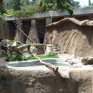 Spectacled Bear Grotto