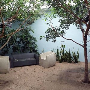 Reptile House - Oustalet's Chameleon Exhibit (plus 2 turtle species)