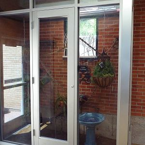 Reptile House - Green Tree Monitor Exhibit