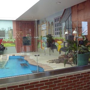 Reptile House - American Alligator Exhibit