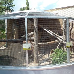 North American Porcupine/American Kestrel Exhibit