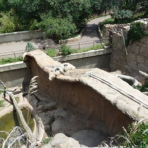 Bear Grottoes - Overhead View