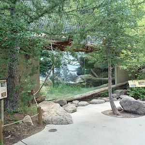 Asian Highlands - Amur Leopard Exhibit