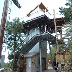 Grizzly Bear Viewing Stairs + Elevator