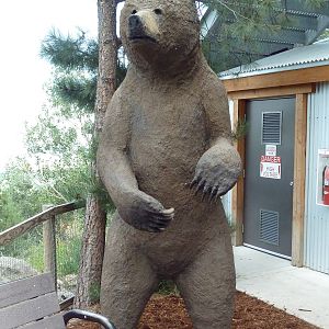 Grizzly Bear Statue