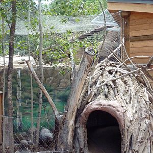 Rocky Mountain Wild - North American River Otter Exhibit