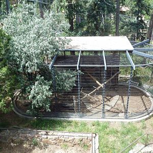 Rocky Mountain Wild - Empty Bird of Prey Exhibit