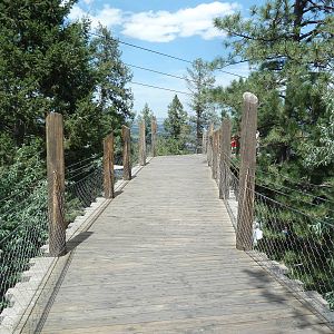 Rocky Mountain Wild - Grizzly Bear Exhibit Boardwalk