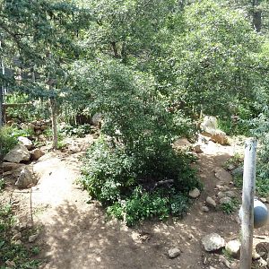 Rocky Mountain Wild - Grizzly Bear Exhibit