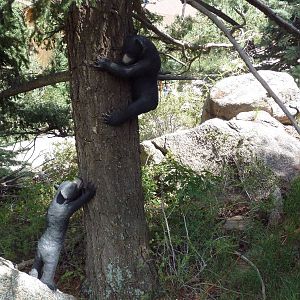 Rocky Mountain Wild - Bear Cub Statues