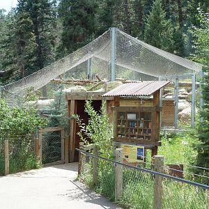 Rocky Mountain Wild - Cougar Exhibit