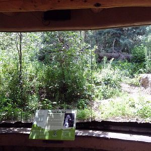 Rocky Mountain Wild - Mexican Grey Wolf Exhibit