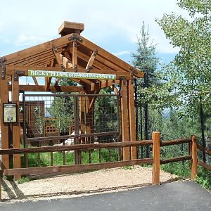 Rocky Mountain Goat Exhibit - Demonstration Yard