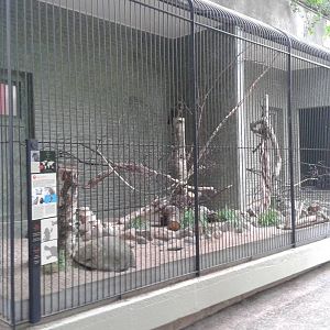 Kea aviary