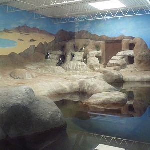 Aquatics Building - African Penguin Exhibit