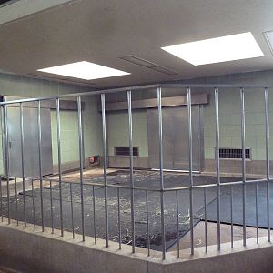 Aquatics Building - Nile Hippo Indoor Exhibit