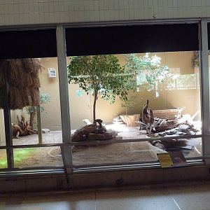 Aquatics Building - Komodo Dragon Exhibit