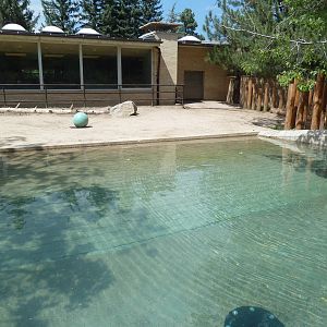 Aquatics Building - Nile Hippo Outdoor Exhibit
