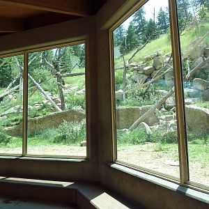 Primate World - Gorilla Exhibit