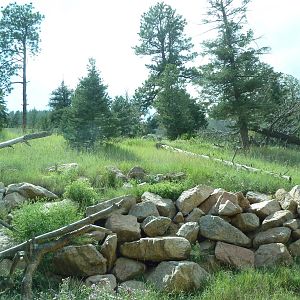 Primate World - Gorilla Exhibit