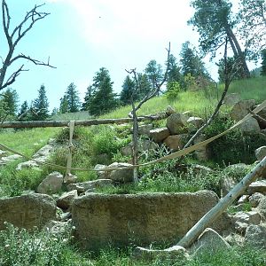 Primate World - Gorilla Exhibit