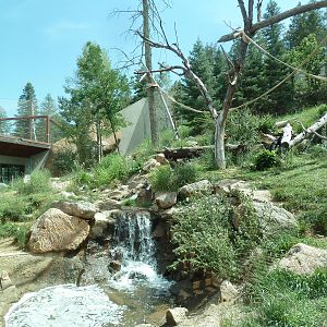 Primate World - Gorilla Exhibit