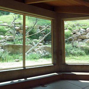 Primate World - Gorilla Exhibit