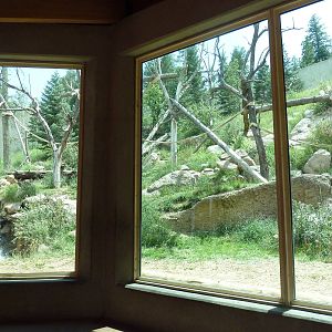 Primate World - Gorilla Exhibit