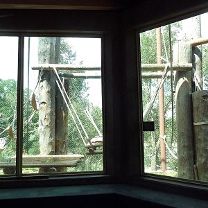 Primate World - Orangutan Exhibit