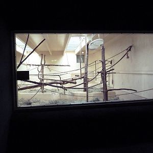 Primate World - Siamang Exhibit