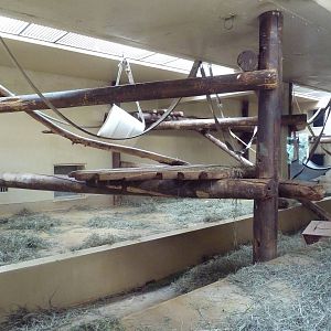 Primate World - Gorilla Indoor Exhibit