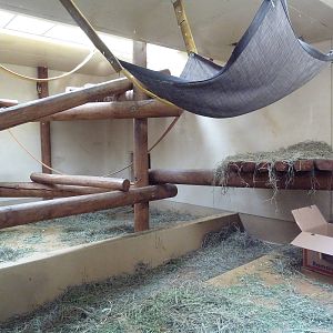 Primate World - Gorilla Indoor Exhibit