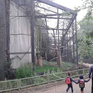 European black vulture aviary