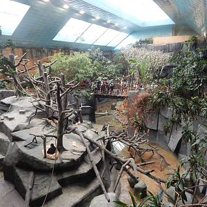 Aug. 2014 - Tropic World - Africa (8 Species)