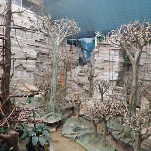 Aug. 2014 - Tropic World - South America (9 Species)