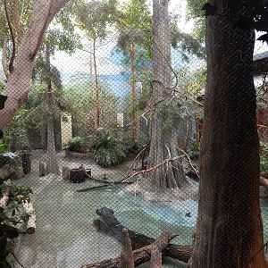 Aug. 2014 - The Swamp - Waterfowl Exhibit (5 Species)