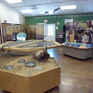 Zoo Entrance Building