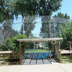 Bengal Tiger Exhibit