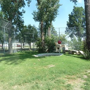 Bengal Tiger Exhibit
