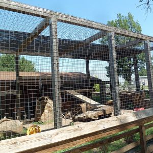 African Leopard Exhibit