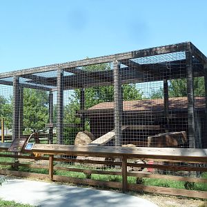 African Leopard Exhibit