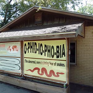 Reptile House (4 Terrariums)