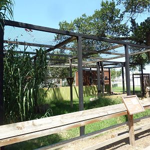 Future Serval Exhibit