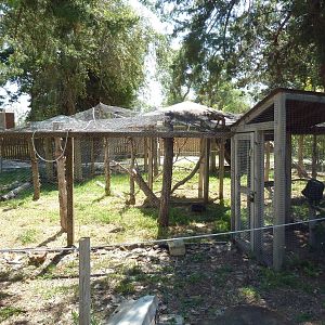 Empty Exhibits (except for a Great Horned Owl)