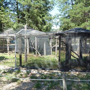 Empty Exhibits (except for a Great Horned Owl)