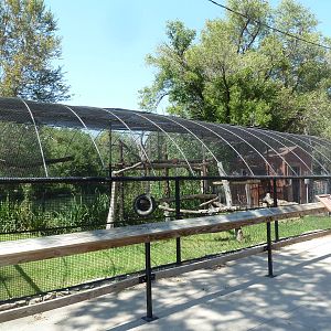 Ring-Tailed Lemur Exhibit