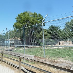 Grizzly Bear Exhibit