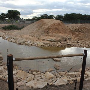 Shallow pool in corner of 2nd Polar bear enclosure. 21-8-14