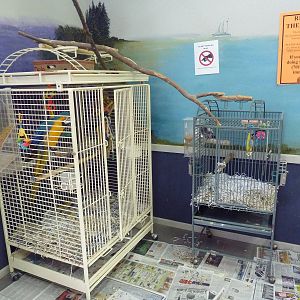 Entrance Building - Bird Cages